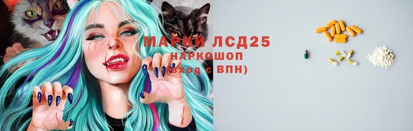 амф Беломорск