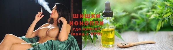 круглые Белокуриха