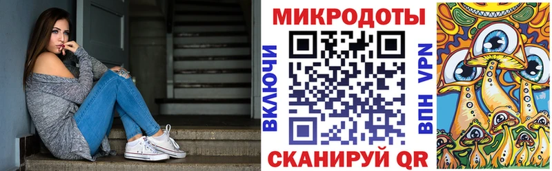 Псилоцибиновые грибы Psilocybe  Кремёнки 